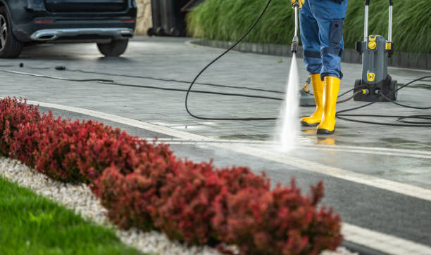 Best Soft Washing for Delicate Surfaces in Glyndon, MN
